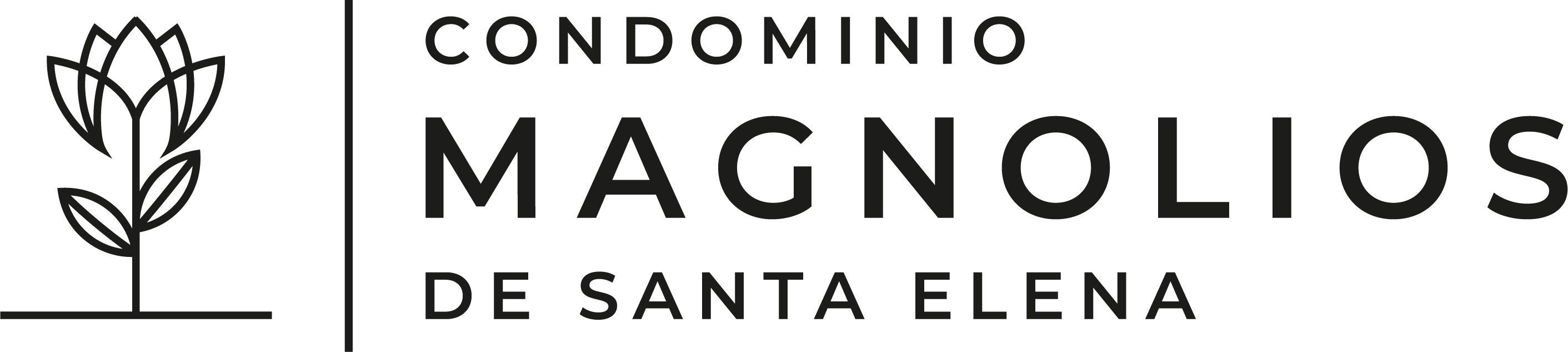 Imagen Promoción